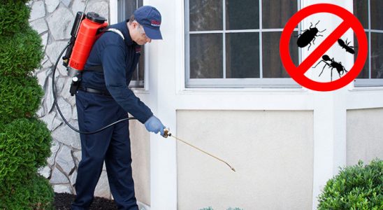 Boğazlıyan Böcek ve Haşere İlaçlama böcek ilaçlama ve haşere kontrolü — ilaclama-tr.com